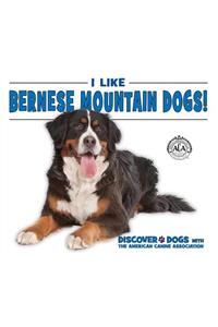 I Like Bernese Mountain Dogs!