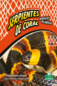 Serpientes de Coral (Coral Snakes)