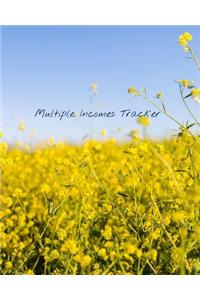 Multiple Incomes Tracker
