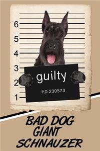 Bad Dog Giant Schnauzer
