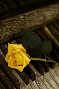 A Yellow Rose on an Abandoned Piano Journal