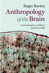 Anthropology of the Brain