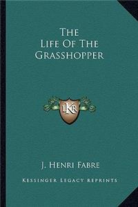 The Life Of The Grasshopper