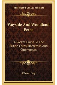 Wayside and Woodland Ferns