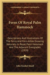Ferns of Royal Palm Hammock