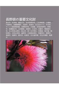 Zh Ng y Xianno Zhong Yao Wen Hua Cai