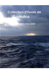 Collection D'Essais de Haikus