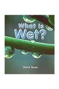 What Is Wet?