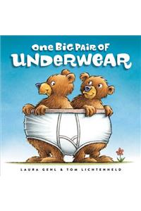 One Big Pair of Underwear