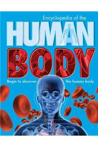 Children's Human Body