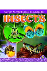 Insects