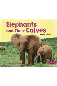 Animal Offspring Elephants and Their Calves