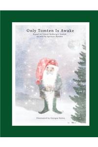 Only Tomten Is Awake