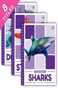 Ocean Animals Set