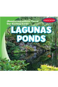 Lagunas / Ponds