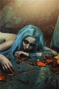 Barrow Wight Journal