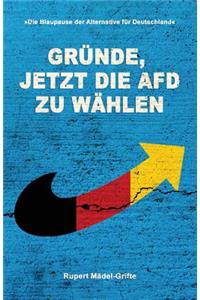 Gründe, jetzt die AfD zu wählen