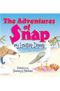 The Adventures of Snap