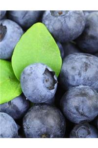 Blueberries Notebook