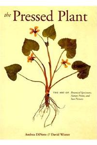 Pressed Plant: Art of Botanical Speci