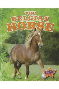 The Belgian Horse