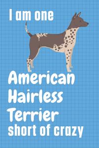 I am one American Hairless Terrier short of crazy