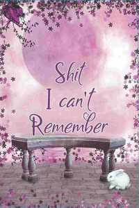 Shit I Can't Remember