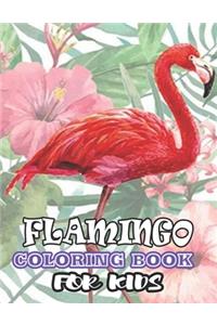 Flamingos Coloring Book