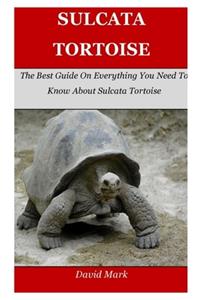 Sulcata Tortoise