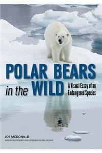 Polar Bears in the Wild: A Visual Essay of an Endangered Species