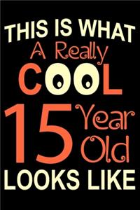 A Really Cool 15 Year Old