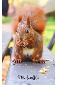 Mrs. Scruffles the cute squirrel bullet journal for animal lovers