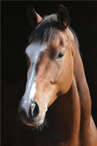 Horse Lovers 2020 Weekly Monthly Planner