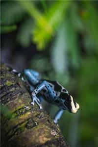 Blue Tree Frog Climbing Up Journal