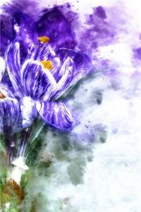Crocus Notebook