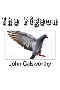 The Pigeon