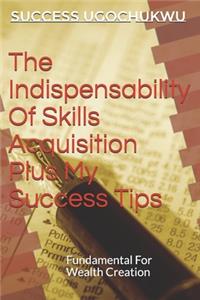 Indispensability Of Skills Acquisition Plus My Success Tips