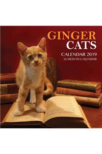 Ginger Cats Calendar 2019
