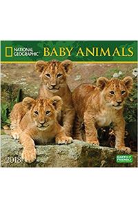National Geographic Baby Animals 2018 Wall Calendar