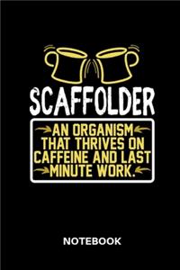 Scaffolder - Notebook
