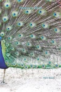Peacock Blue