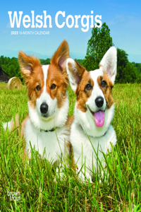 Welsh Corgis 2023 Mini 7x7