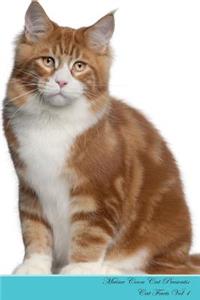 Maine Coon Cat Presents