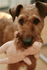 Irish Terrier Notebook