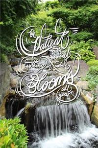 Be patient with yourself, nothing in nature blooms all year
