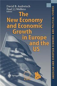 New Economy and Economic Growth in Europe and the Us