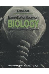 Scanning Electron Microscopy in Biology