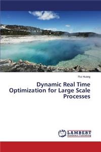 Dynamic Real Time Optimization for Large Scale Processes