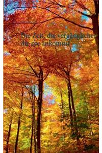 Die Zeit, die vergängliche, die nie ankommt