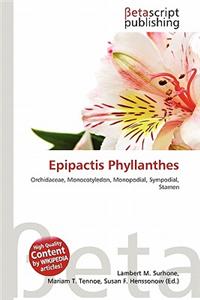 Epipactis Phyllanthes